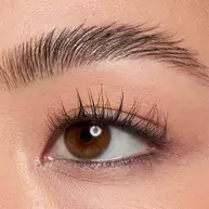 The Brow Glue Crazy Lift