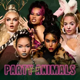 Party Animals Stencils Kit