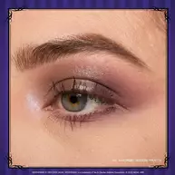 THE NEVERMORE ACADEMY PALETTE